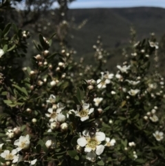 Unverified at suppressed - suppressed