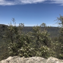 Unverified at suppressed - suppressed