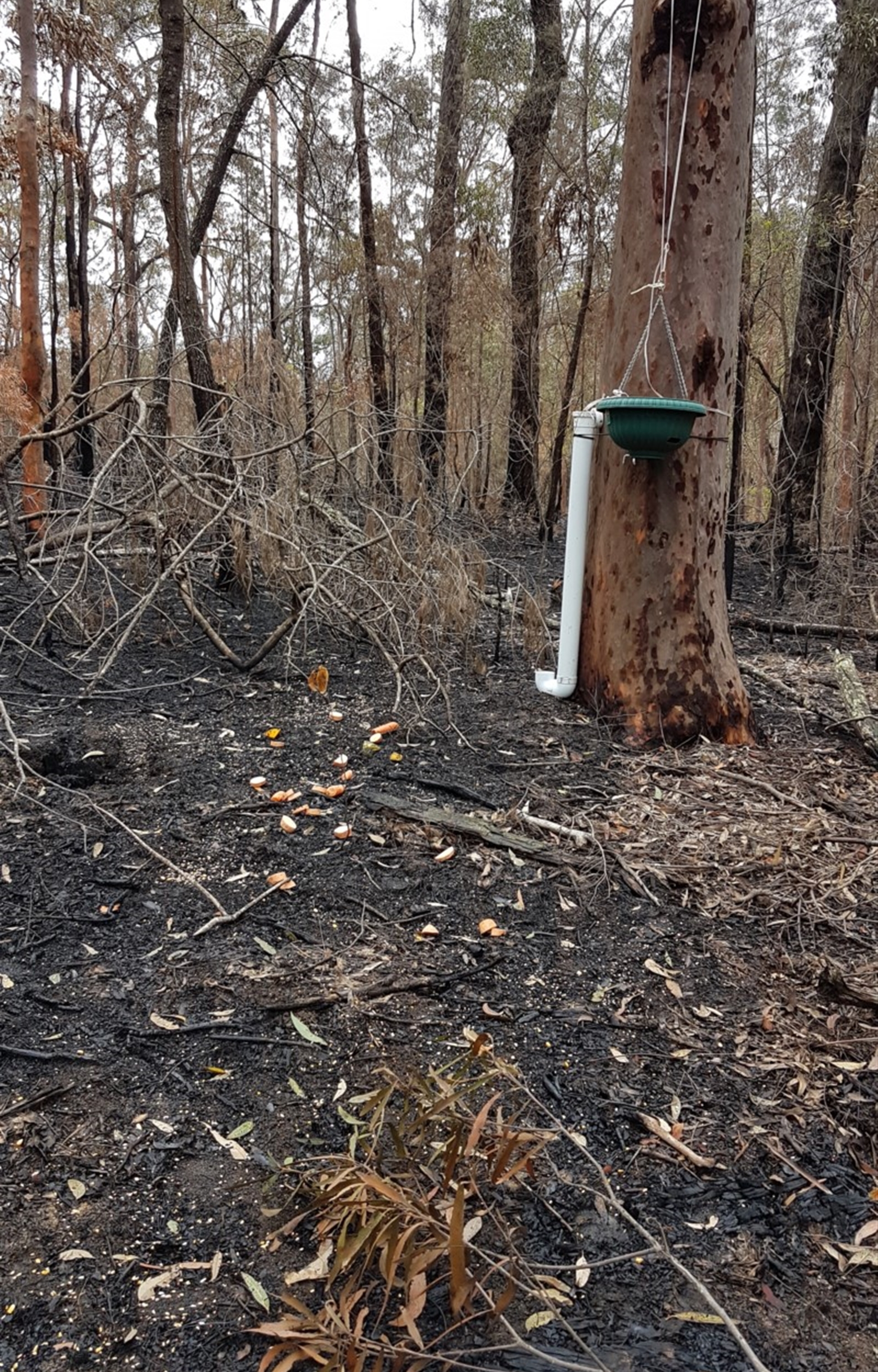 Unverified at suppressed - suppressed