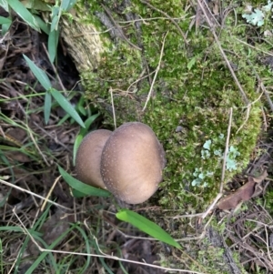 Unverified at suppressed - suppressed