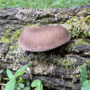 Unverified at suppressed - suppressed