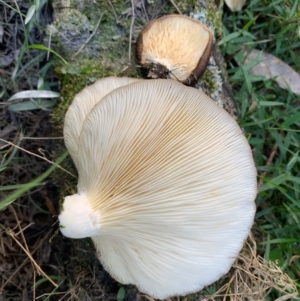 Unverified at suppressed - suppressed