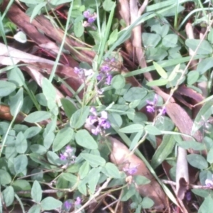 Glycine tabacina at Gundaroo, NSW - 4 Apr 2020