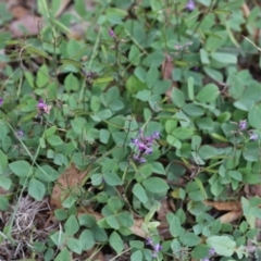 Glycine tabacina at Scullin, ACT - 4 Apr 2020 12:14 PM