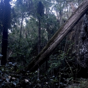 Unverified at suppressed - suppressed