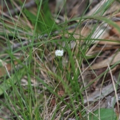 Unidentified at suppressed - 15 Apr 2020