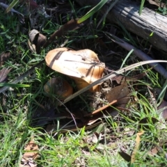 Unidentified at suppressed - 15 Apr 2020