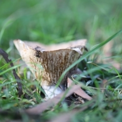 Unverified at suppressed - suppressed