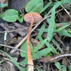 Unverified at suppressed - suppressed