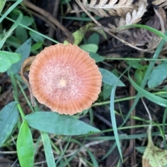 Unverified at suppressed - suppressed