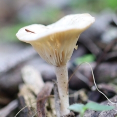 Unverified at suppressed - suppressed