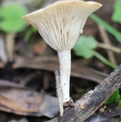 Unverified at suppressed - suppressed