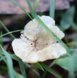 Unverified at suppressed - suppressed