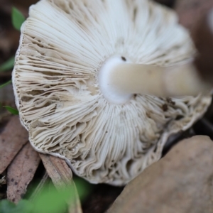 Unverified at suppressed - suppressed