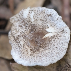 Unverified at suppressed - suppressed