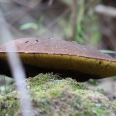 Unverified at suppressed - suppressed