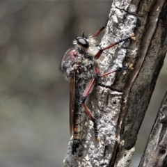 Unidentified at suppressed - 13 Jan 2019