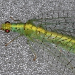 Apertochrysa edwardsi (A Green Lacewing) at Lilli Pilli, NSW - 3 Jun 2020 by jbromilow50