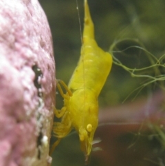 Unverified at suppressed - suppressed