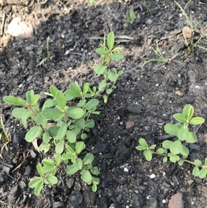 Unverified at suppressed - suppressed