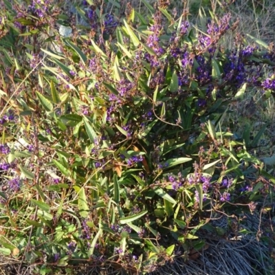 Hardenbergia violacea (False Sarsaparilla) at Isaacs, ACT - 9 Jul 2020 by Mike