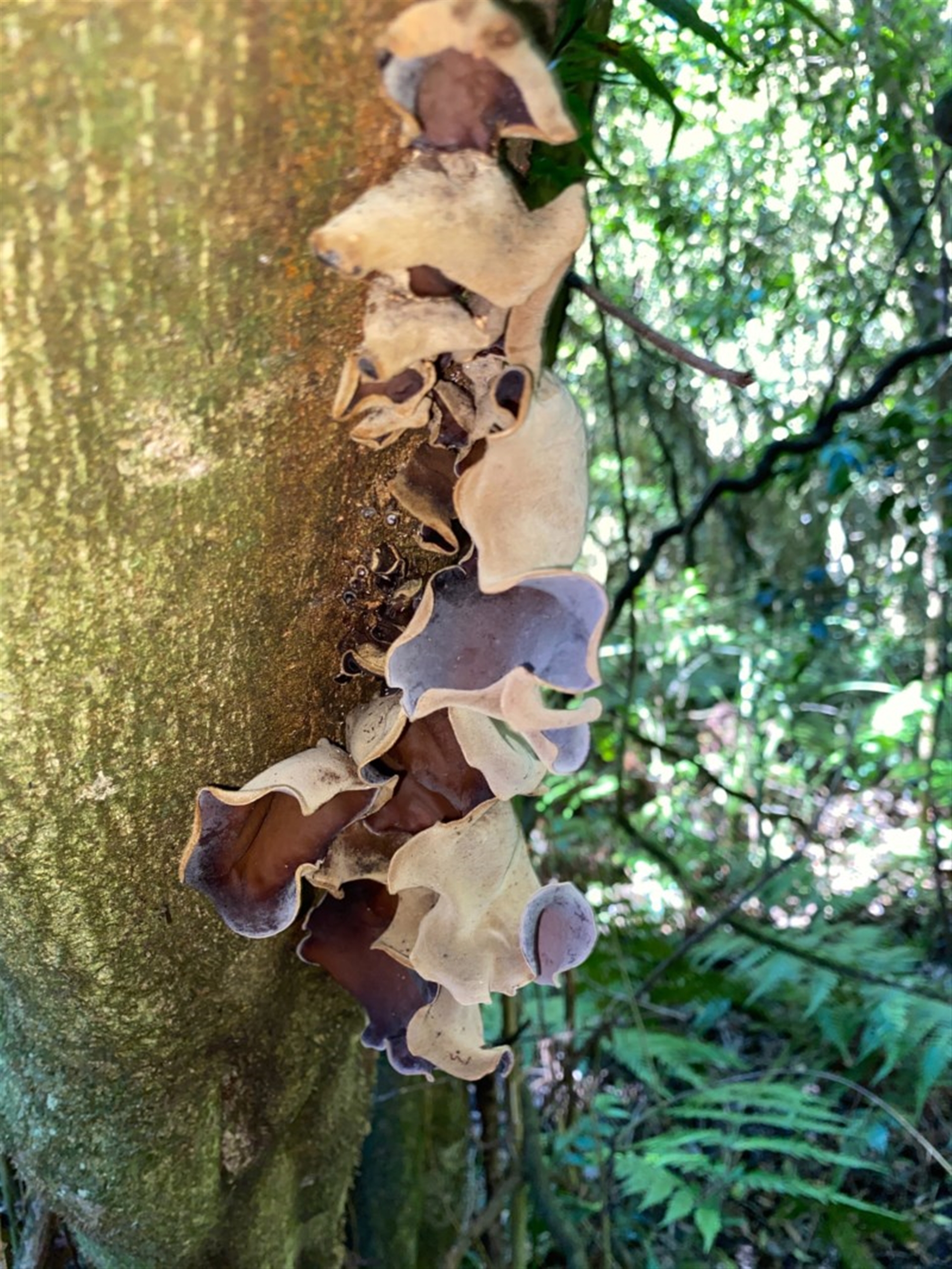 Unverified at suppressed - suppressed