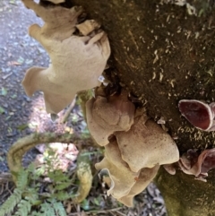 Unverified at suppressed - suppressed