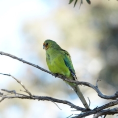 Unverified at suppressed - suppressed