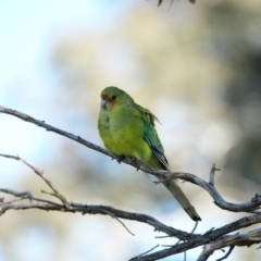 Unverified at suppressed - suppressed