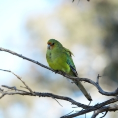 Unverified at suppressed - suppressed