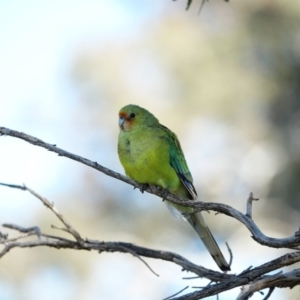 Unverified at suppressed - suppressed