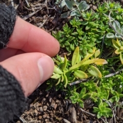 Unverified at suppressed - suppressed