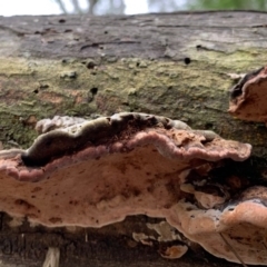 Unverified at suppressed - suppressed