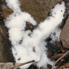 Unverified at suppressed - suppressed