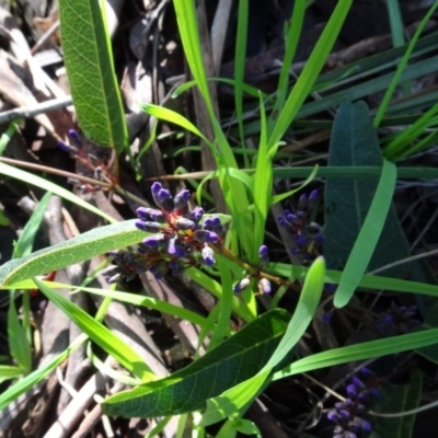 Hardenbergia violacea (False Sarsaparilla) at Bookham, NSW - 29 Jul 2020 by AndyRussell