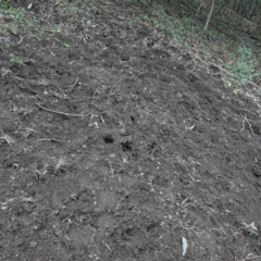 Unverified at suppressed - suppressed