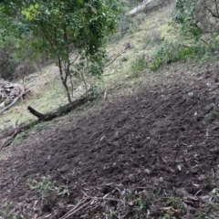 Unverified at suppressed - suppressed