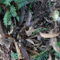 Unverified at suppressed - suppressed