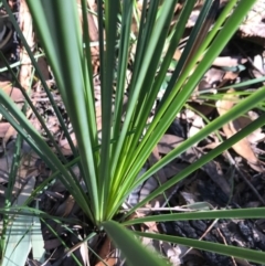 Unverified at suppressed - suppressed