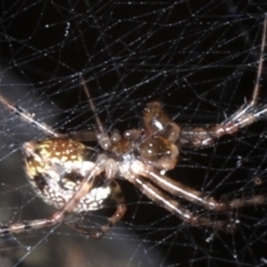 Unverified at suppressed - suppressed