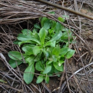 Unidentified at suppressed - 1 Aug 2020