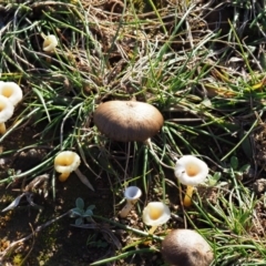 Unverified at suppressed - suppressed