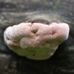 Unverified at suppressed - suppressed