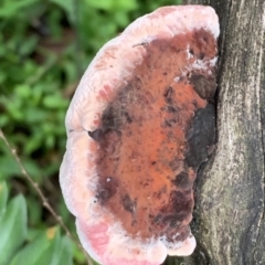 Unverified at suppressed - suppressed