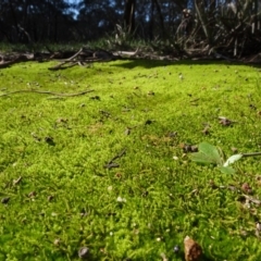 Unverified at suppressed - suppressed