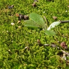 Unverified at suppressed - suppressed