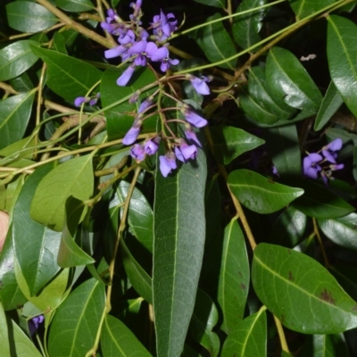 Hardenbergia violacea (False Sarsaparilla) at Bamarang Nature Reserve - 12 Aug 2020 by plants