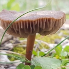 Unverified at suppressed - suppressed