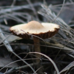 Unverified at suppressed - suppressed