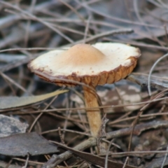 Unverified at suppressed - suppressed